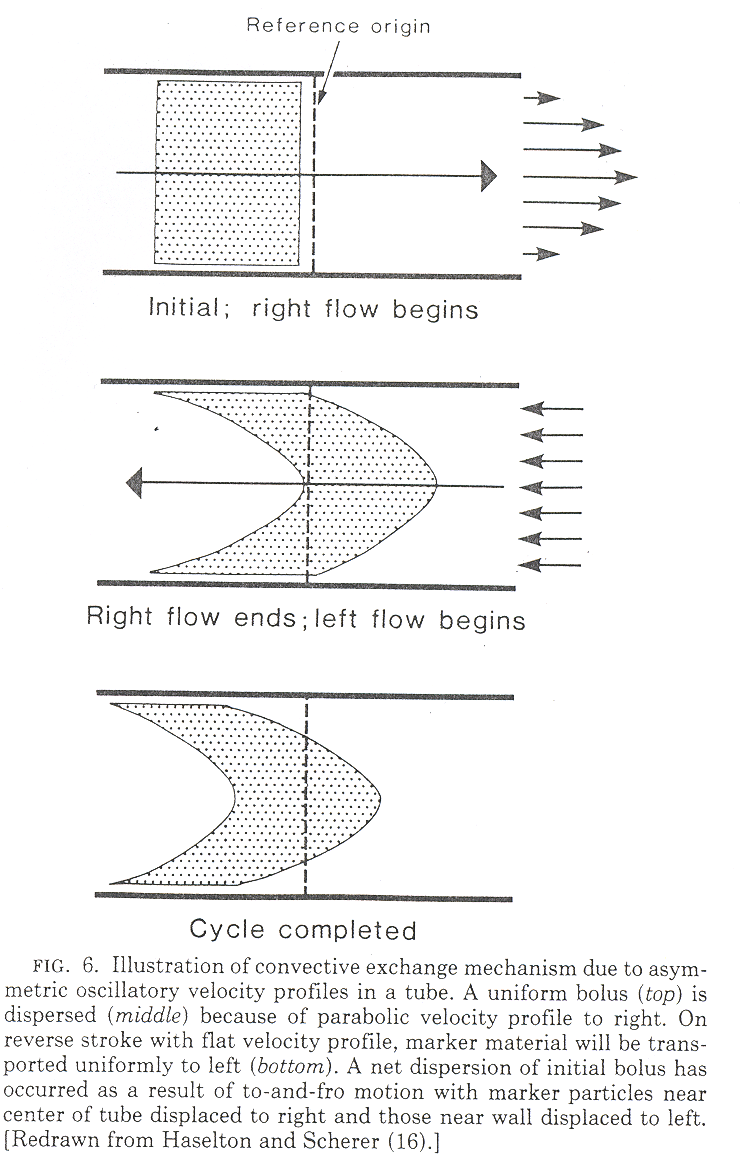 Illustration of convective exchange mechanism