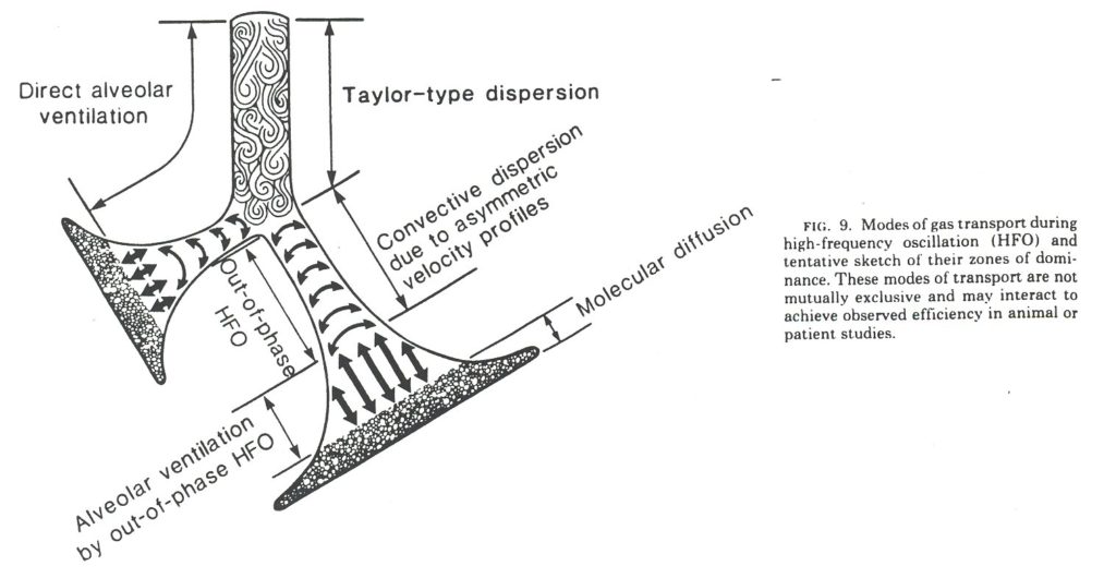 Modes of gas transport during HFO