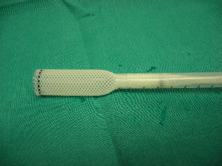 Polyflex-Stent