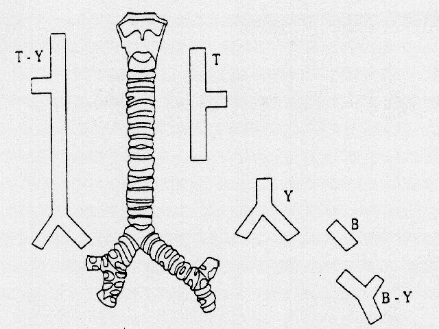 Silicostents