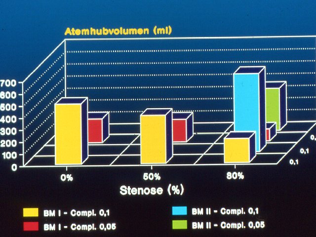 Stenose - experimentelle Ergebnisse