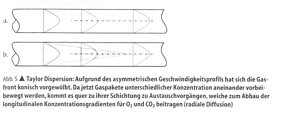 Taylor Dispersion